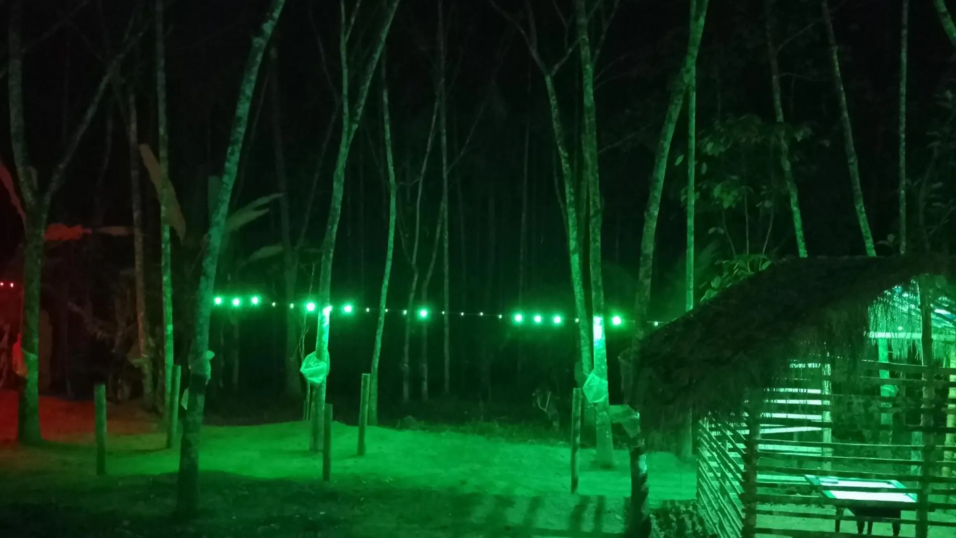 Green Nest Home Stays Meenangadi Privat bolig
